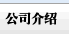 brand˾B